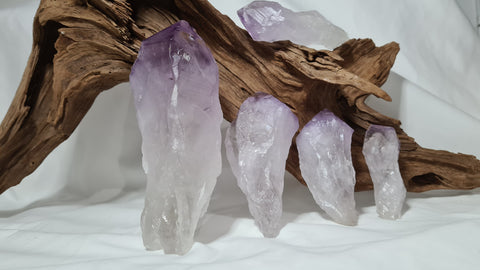 Amethyst teeth/wand rough