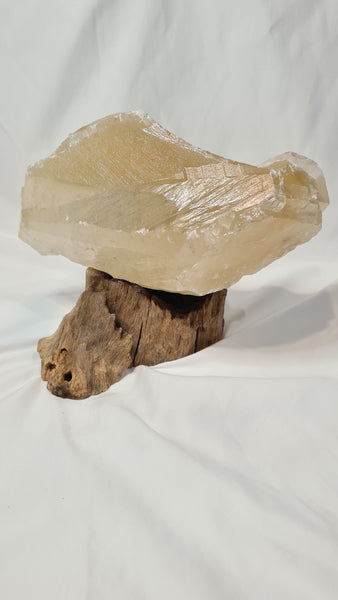 Honey Calcite Teeth