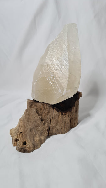 Honey Calcite Teeth