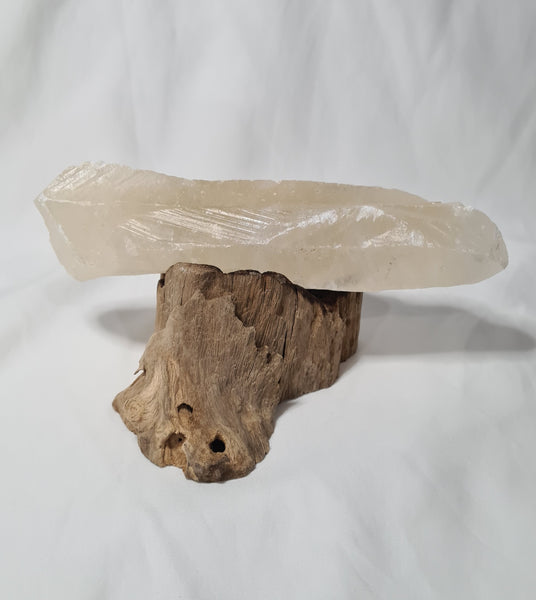 Honey Calcite Teeth