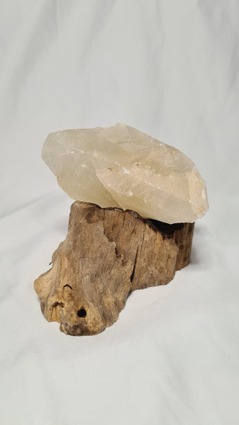 Honey Calcite Teeth