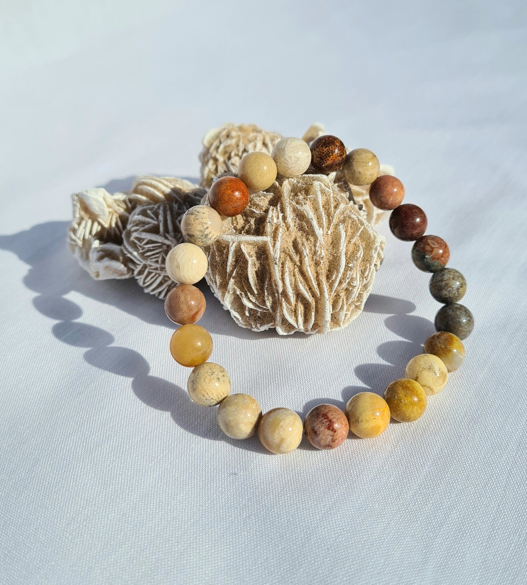 Fossilised Coral Bracelet