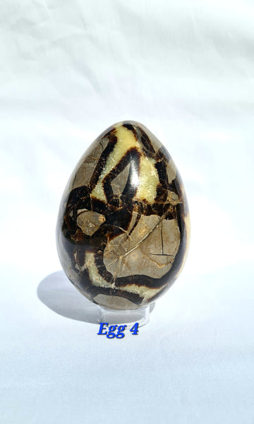 Septarian - DRAGONS EGGS -