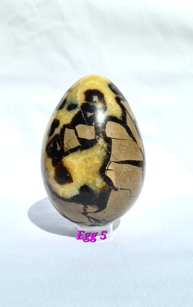 Septarian - DRAGONS EGGS -