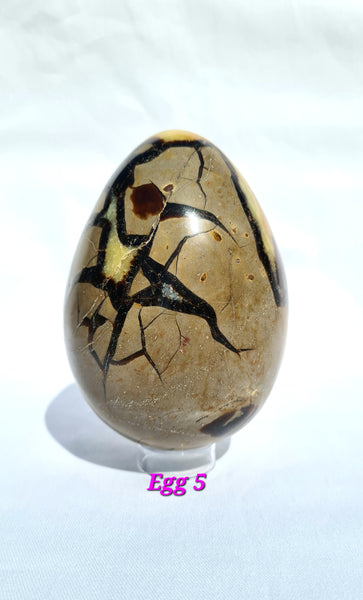 Septarian - DRAGONS EGGS -