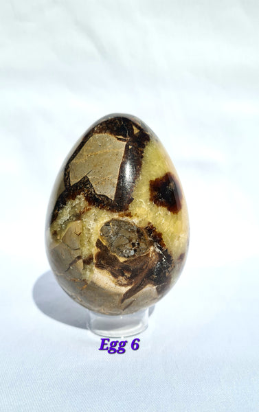 Septarian - DRAGONS EGGS -