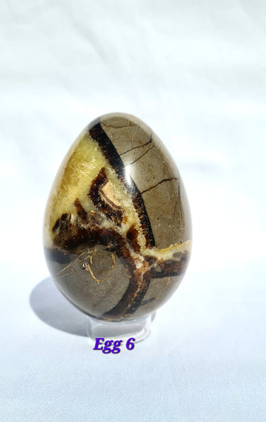 Septarian - DRAGONS EGGS -