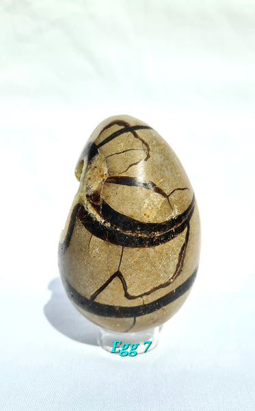 Septarian - DRAGONS EGGS -