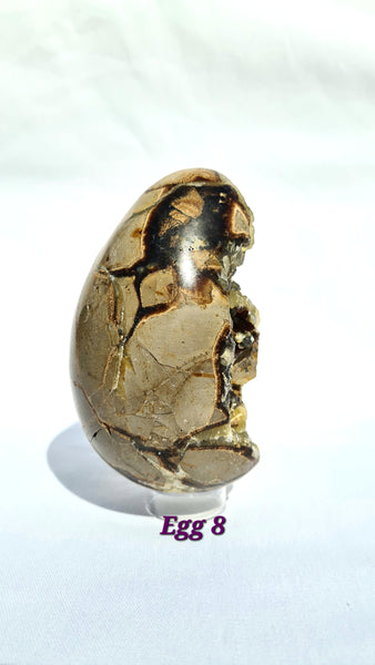 Septarian - DRAGONS EGGS -