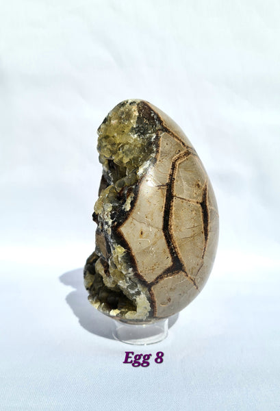 Septarian - DRAGONS EGGS -