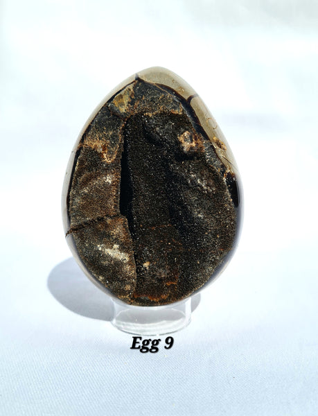 Septarian - DRAGONS EGGS -