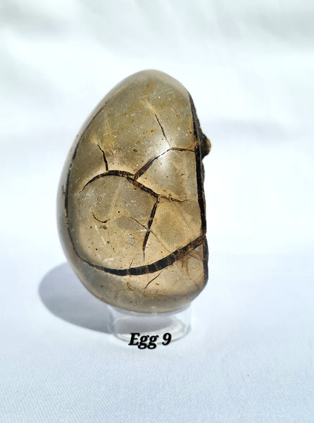 Septarian - DRAGONS EGGS -