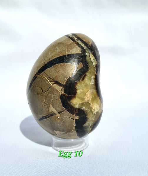 Septarian - DRAGONS EGGS -