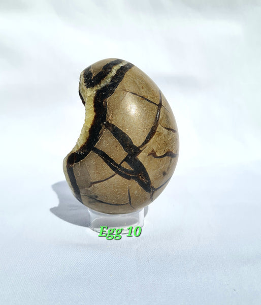 Septarian - DRAGONS EGGS -