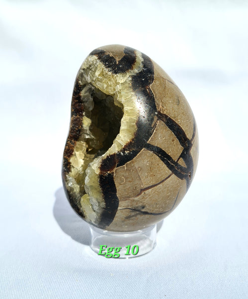 Septarian - DRAGONS EGGS -