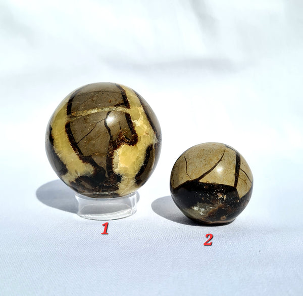 Septarian - Sphere