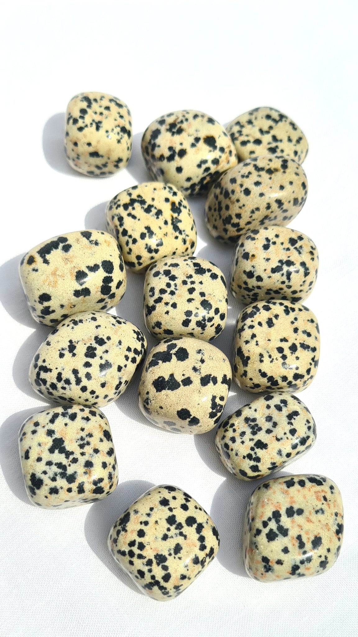 Dalmatian Jasper Tumble Stone