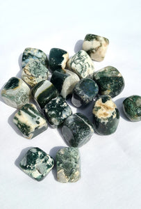 Moss Agate tumbled stone