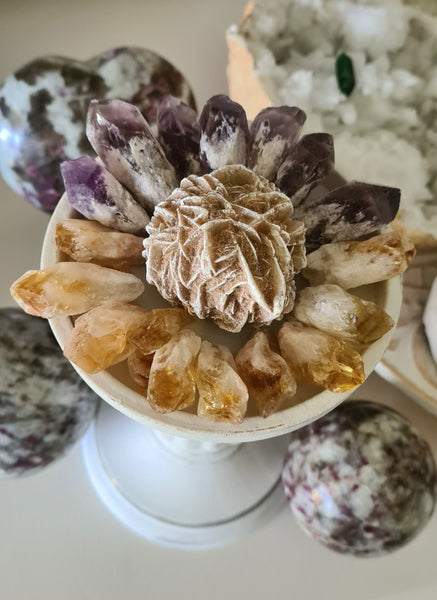 Desert Rose Cluster Bundles