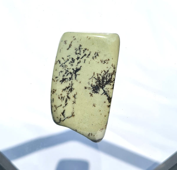 Dendritic Opal - Dandelion Wishes