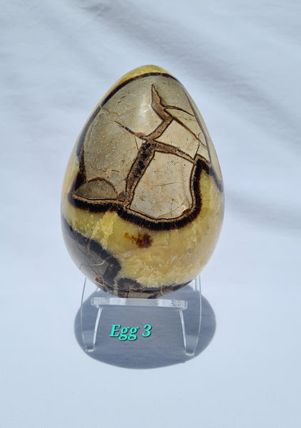 Septarian - DRAGONS EGGS -