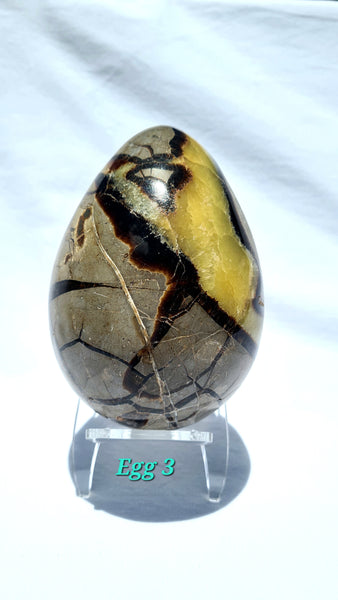 Septarian - DRAGONS EGGS -