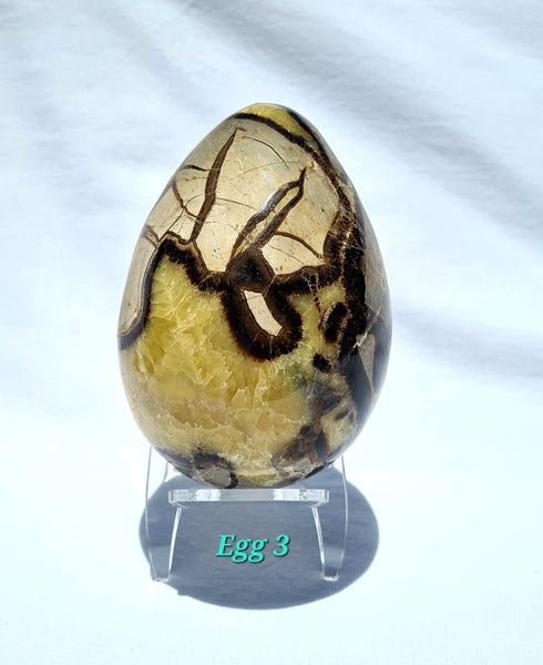 Septarian - DRAGONS EGGS -