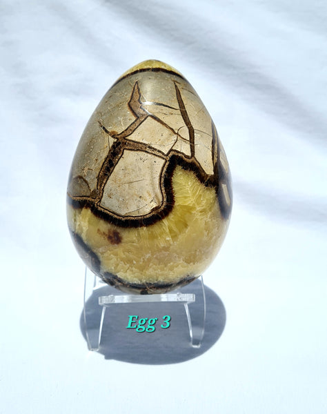 Septarian - DRAGONS EGGS -