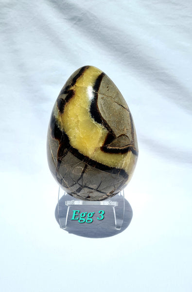 Septarian - DRAGONS EGGS -