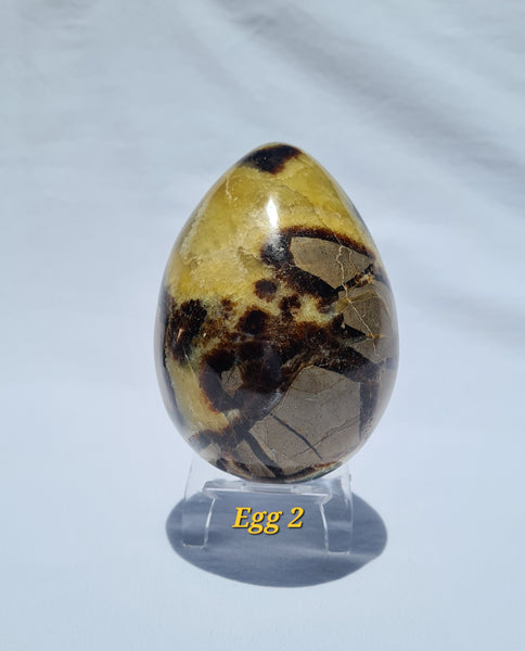 Septarian - DRAGONS EGGS -