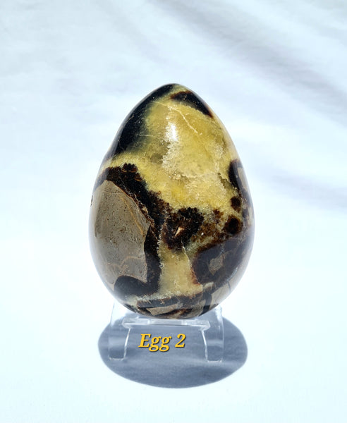 Septarian - DRAGONS EGGS -