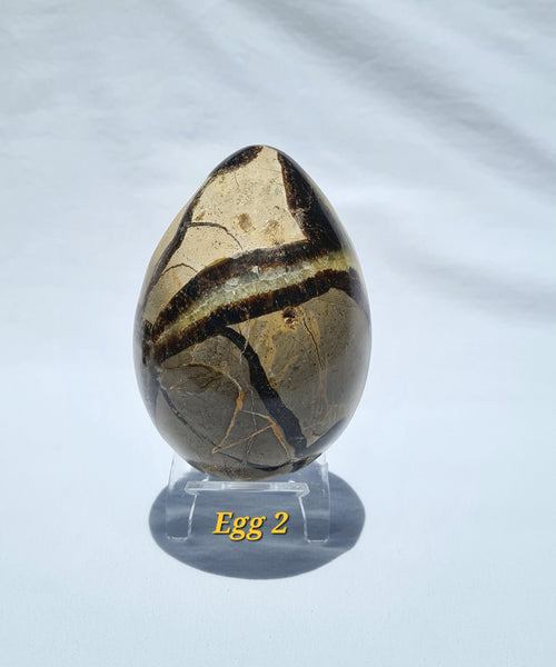 Septarian - DRAGONS EGGS -