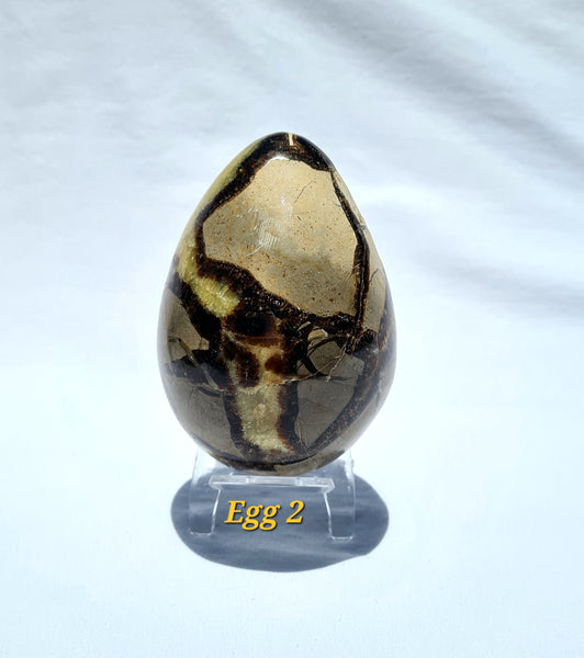 Septarian - DRAGONS EGGS -