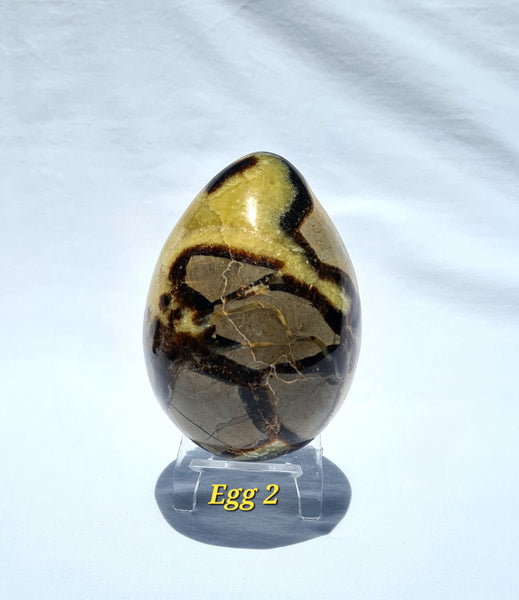 Septarian - DRAGONS EGGS -