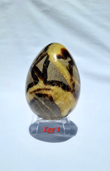 Septarian - DRAGONS EGGS -