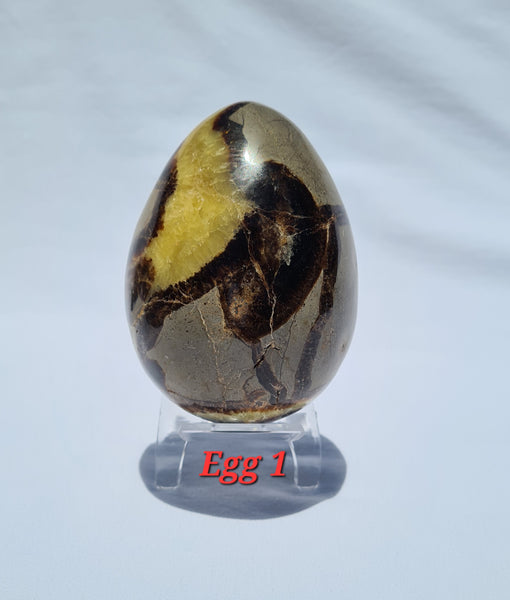 Septarian - DRAGONS EGGS -