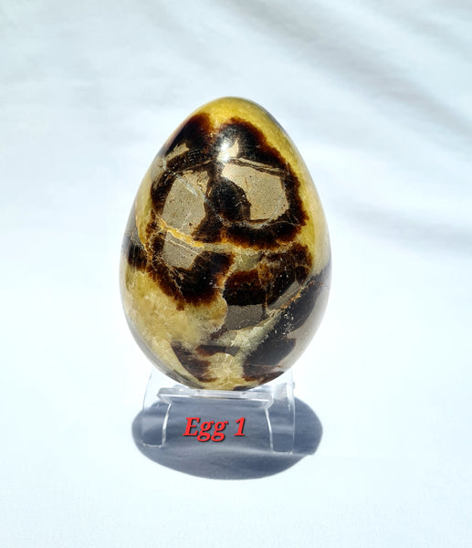 Septarian - DRAGONS EGGS -