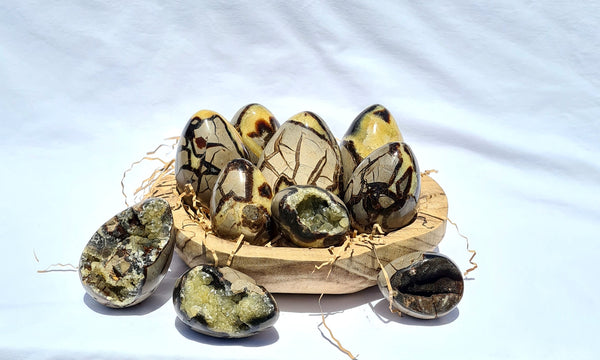 Septarian - DRAGONS EGGS -