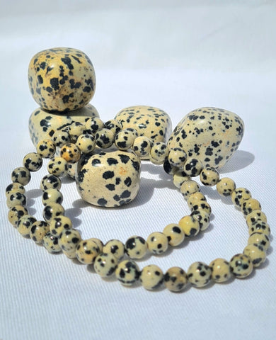 Dalmatian Jasper Bracelet