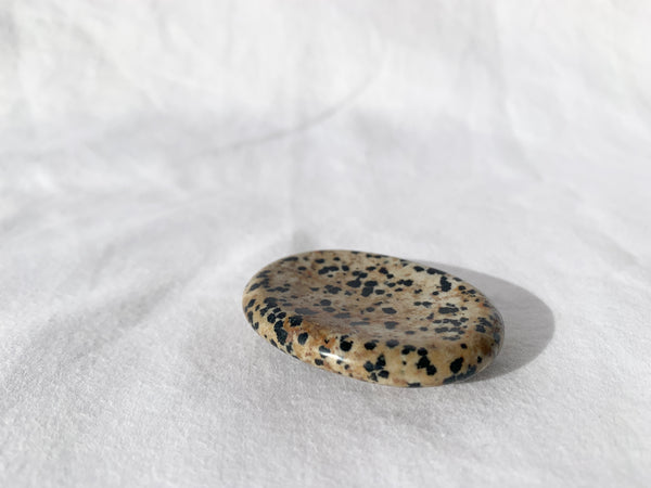 Dalmatian Jasper worry stone